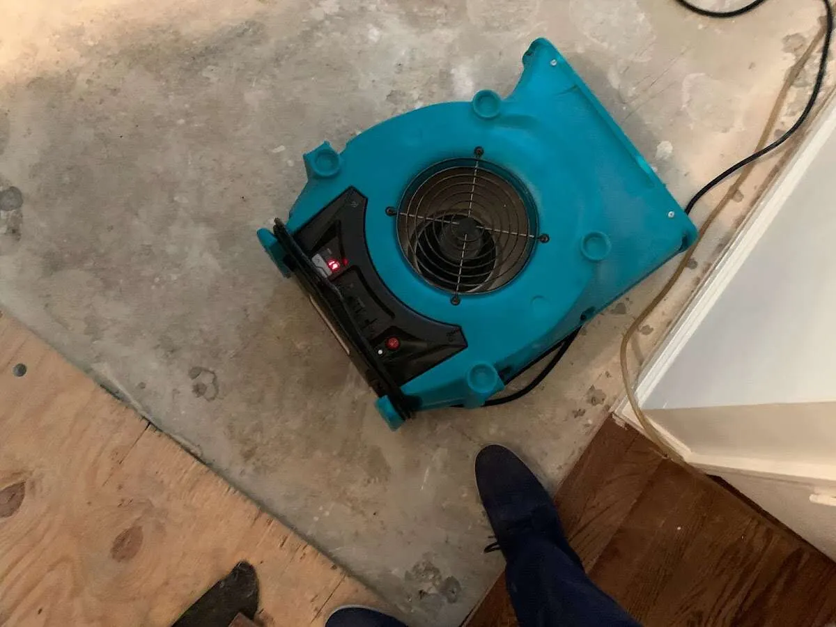 Air mover drying subfloor during Commercial Water Damage Restoration in Wrentham